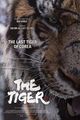 Tiger : An Old Hunter's Tale, The