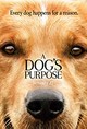 Dog's Purpose, A