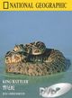 National Geographic: King Rattler