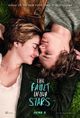 Fault In Our Stars, The