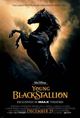 Young Black Stallion, The