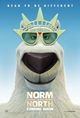 Norm of the North