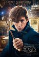 Fantastic Beasts And Where To Find Them