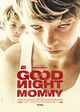 Ich seh, Ich seh (Goodnight Mommy)