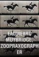 Eadweard Muybridge, Zoopraxographer