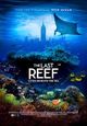 Last Reef, The