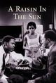 Raisin In The Sun, A