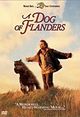 Dog of Flanders, A