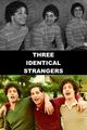 Three Identical Strangers