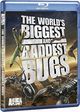 World's Biggest And Baddest Bugs