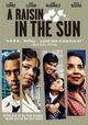 Raisin In The Sun, A