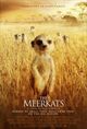 Meerkats, The