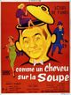 Comme un cheveu sur la soupe (Crazy in the Noodle)