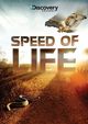 Speed of Life