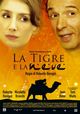 Tigre e la neve, La (The Tiger and the Snow)