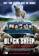 Black Sheep