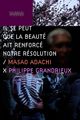 Il se peut que la beauté ait renforcé notre résolution - Masao Adachi (It May Be That Beauty Has Strengthened Our Resolve: Masao Adachi)