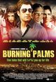 Burning Palms